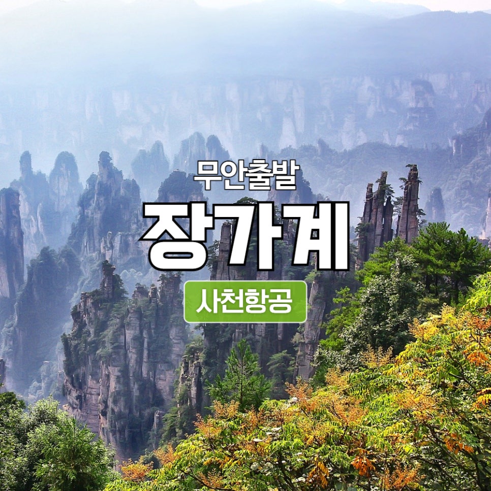 비경투어여행사 이미지