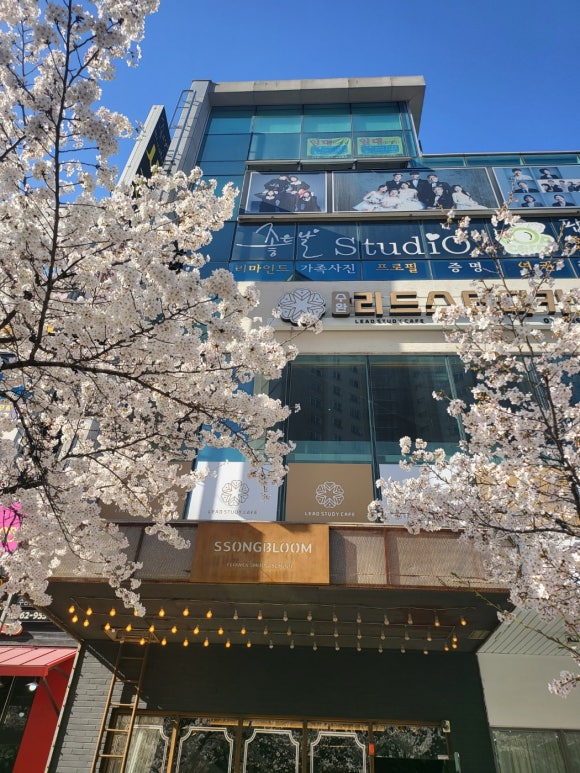 수완리드스터디카페 이미지