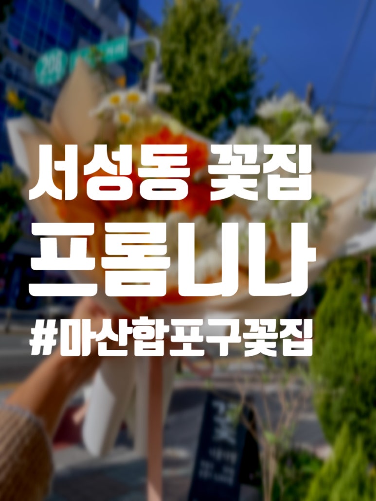 프롬니나 이미지