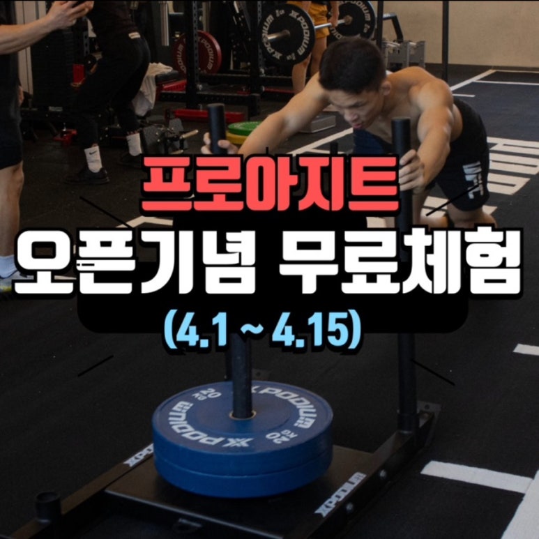 프로아지트 이미지
