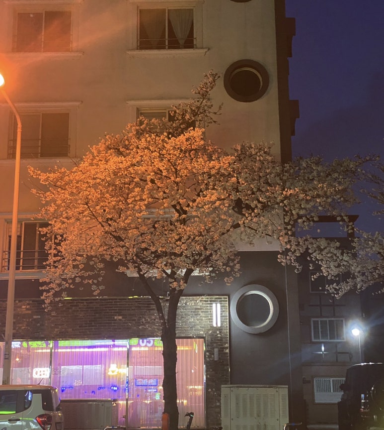 선화핸즈 이미지