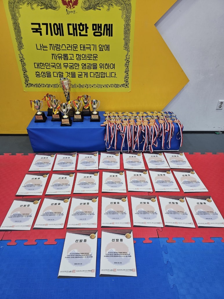 국가대표온새미로 이미지