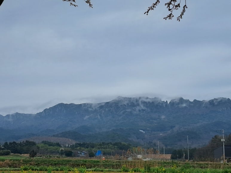 달봉이민박 이미지