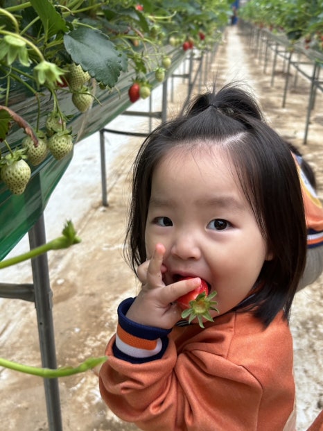 태안어린이집 이미지