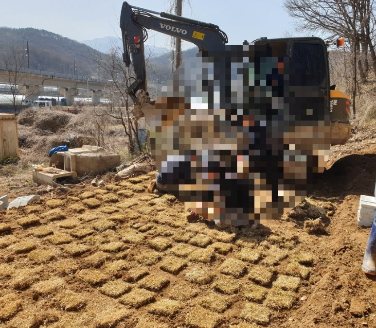 고인돌상조 이미지