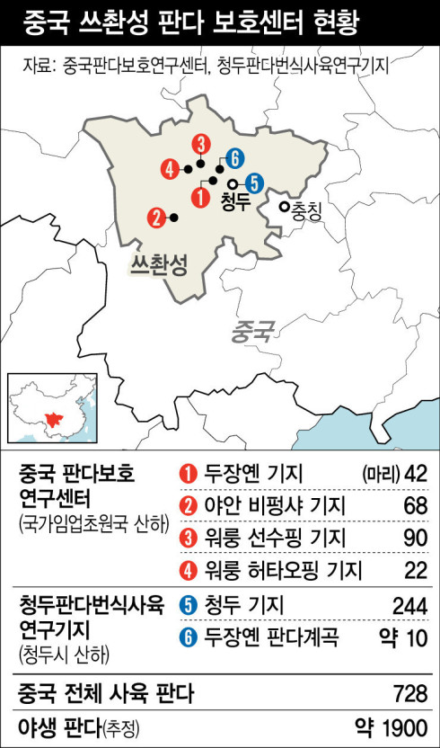 핑의정부 이미지