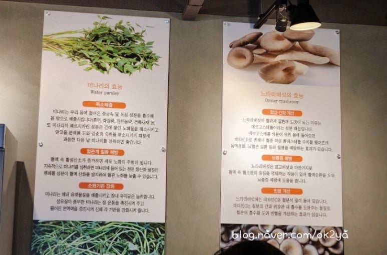 등촌샤브칼국수양재매헌점 이미지