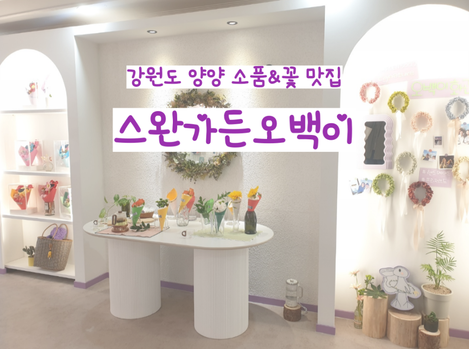 오백샵 이미지