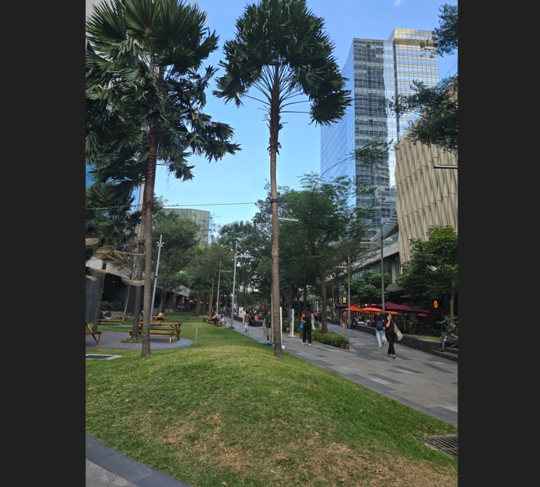 센트럴 스트리트(CENTRAL STREET) 이미지