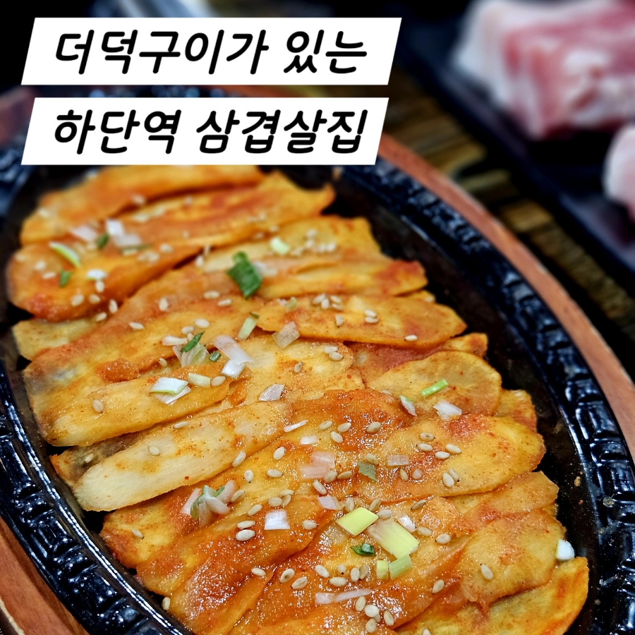 더덕먹은제주뚱돼지 이미지
