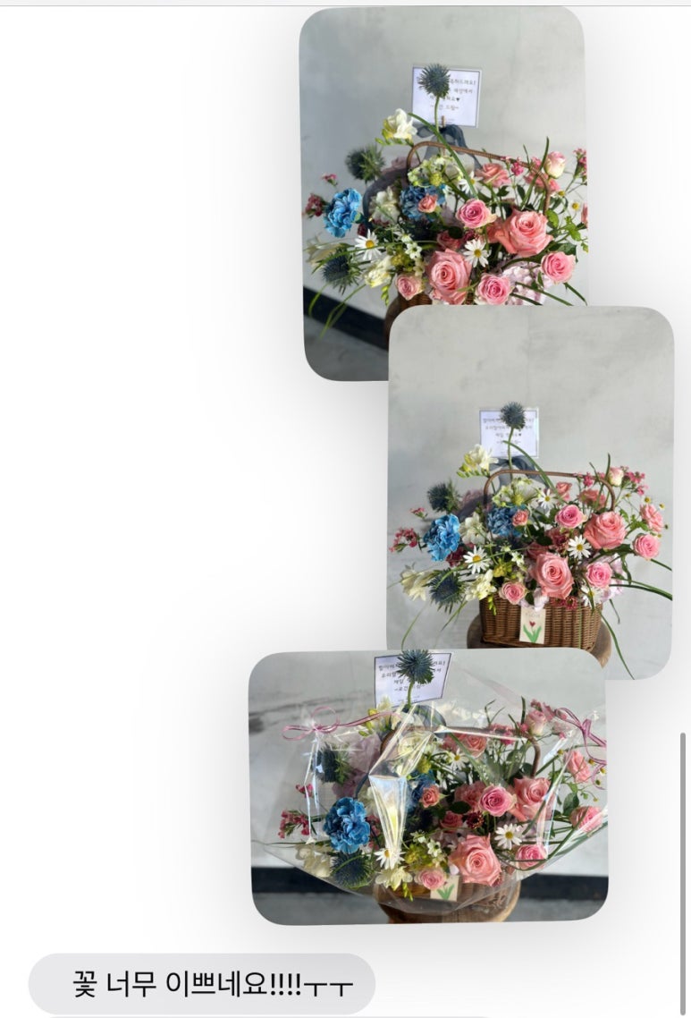 플로제 이미지