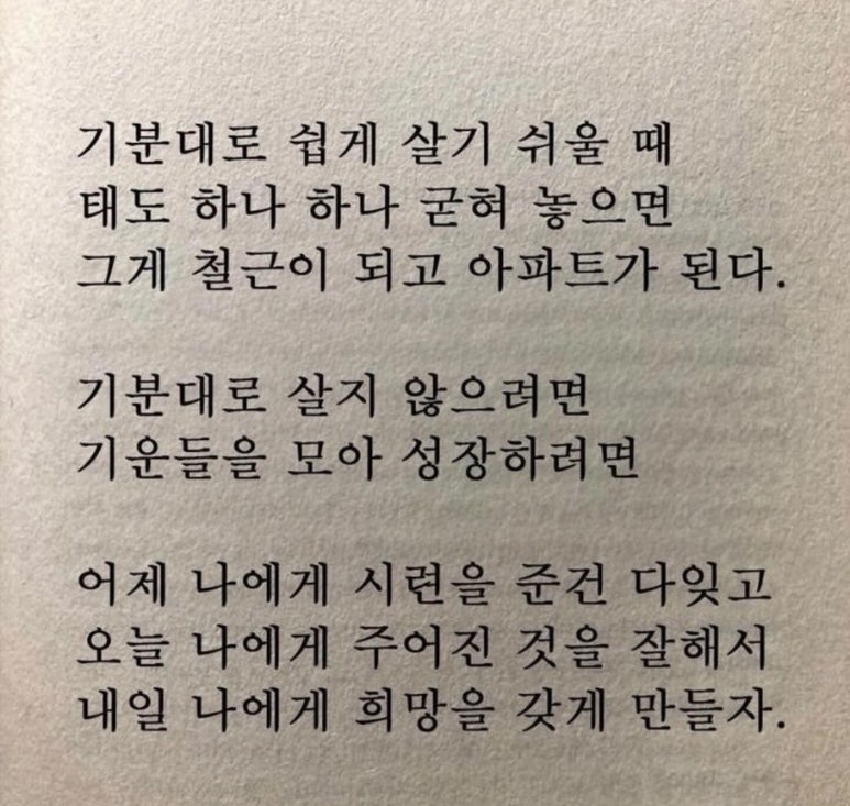 아인플라워 이미지