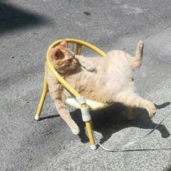 아침에당근 이미지