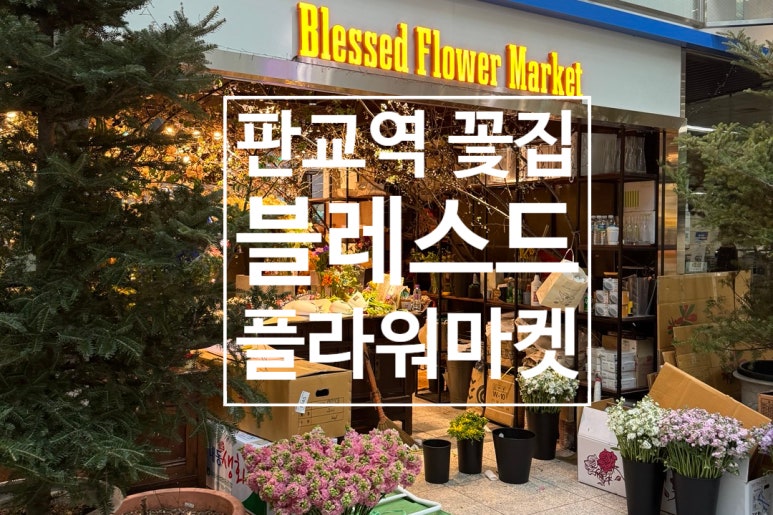 블레스드플라워마켓 이미지