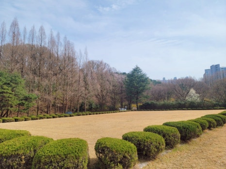 대전인재개발원카페 이미지
