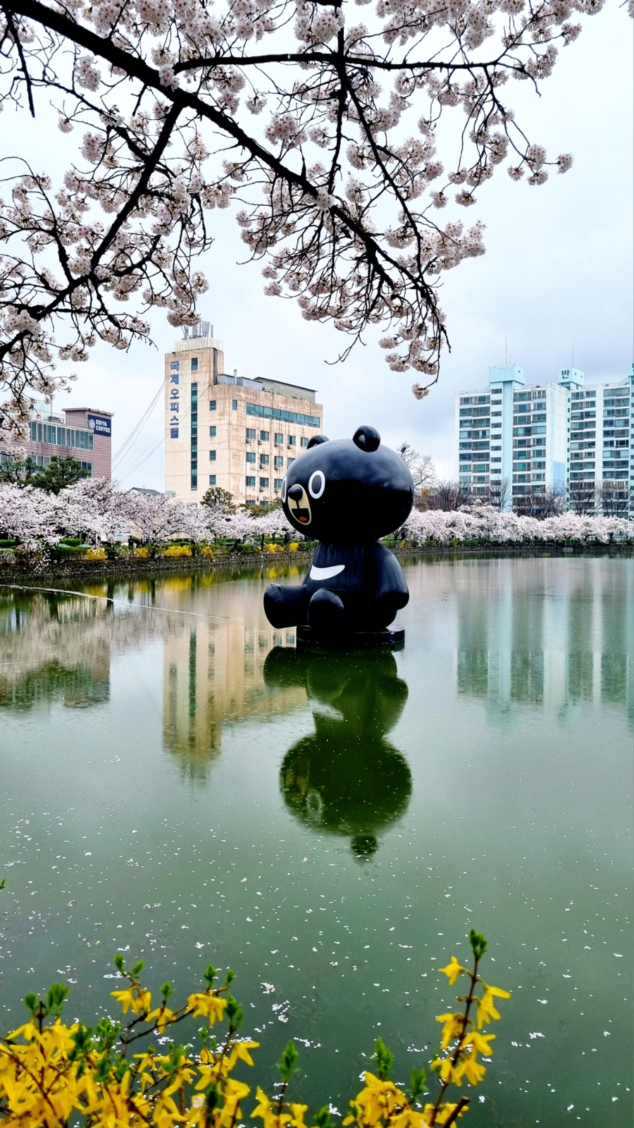 03오삼 이미지