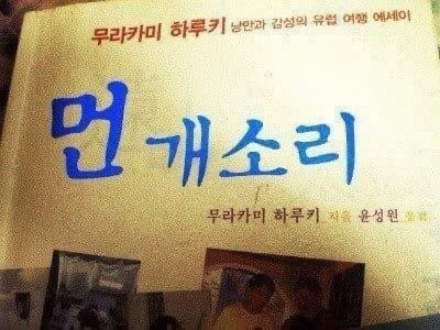 양꽃이피는밤 이미지