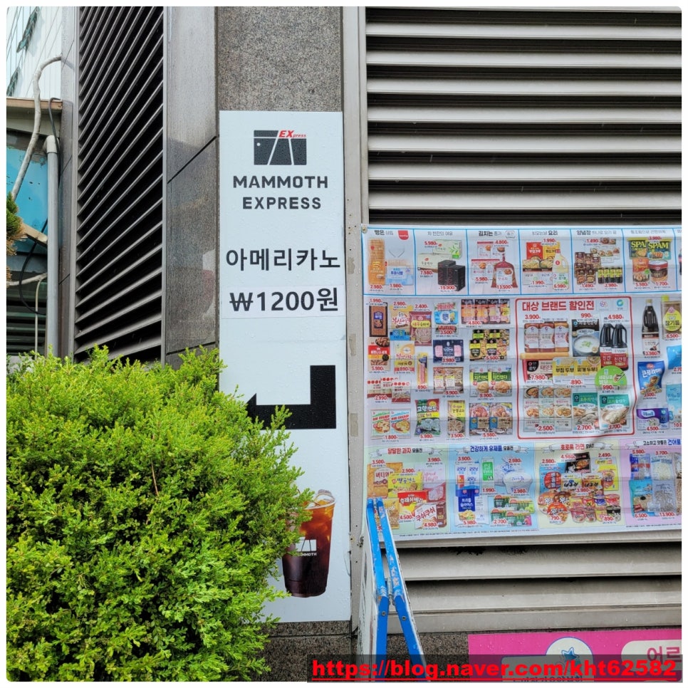 매머드익스프레스북 이미지