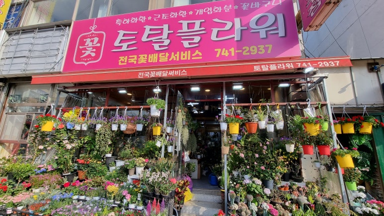 금광주유소 이미지