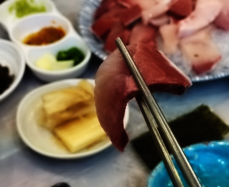 대물회 이미지