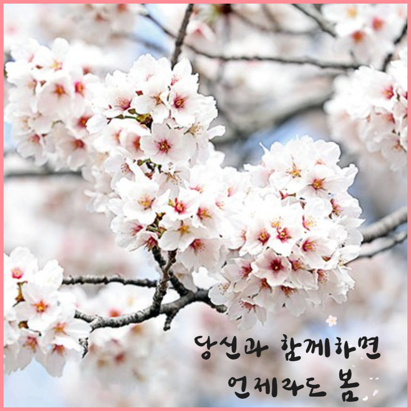 정원텔레콤 이미지