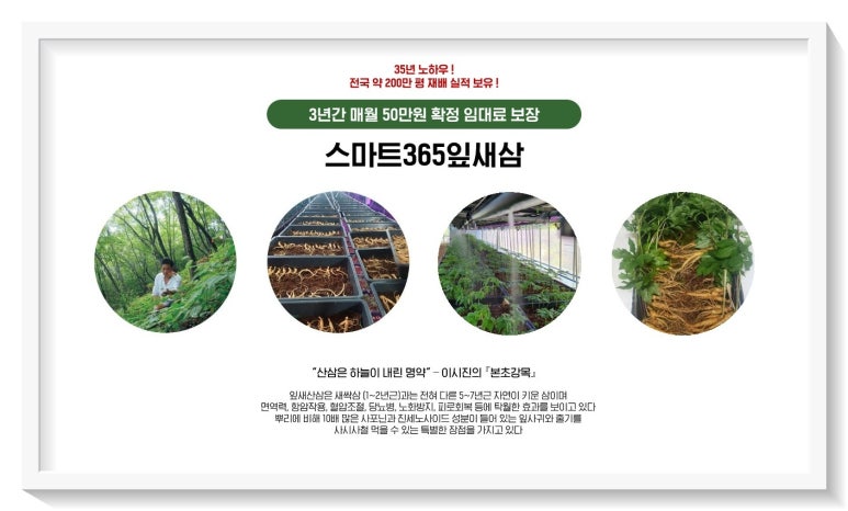 주식회사 잎새삼 이미지