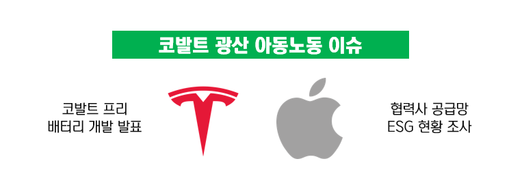 비앤디컨설팅 이미지