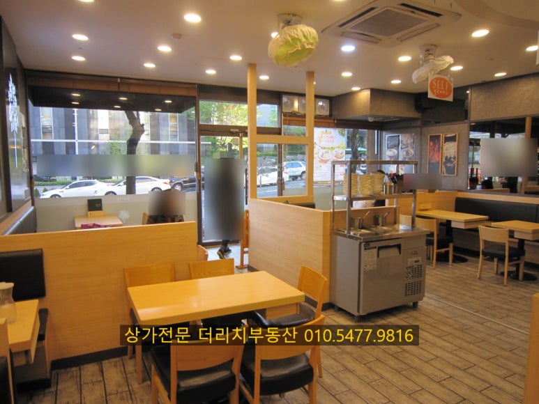 국수나무유성 이미지
