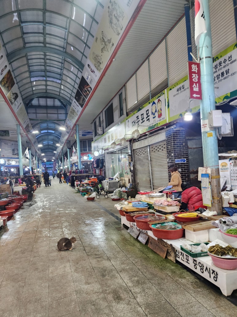 성광당 이미지