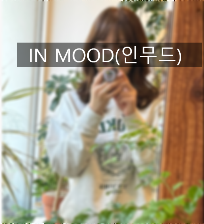IN(인)미용실 이미지
