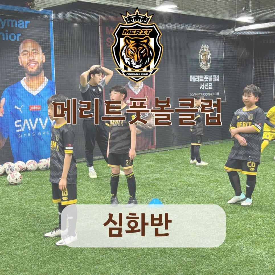 (주)더메리트 이미지
