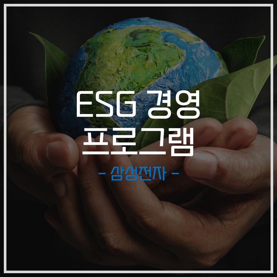 비앤디컨설팅 이미지
