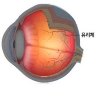 현대한의원 이미지