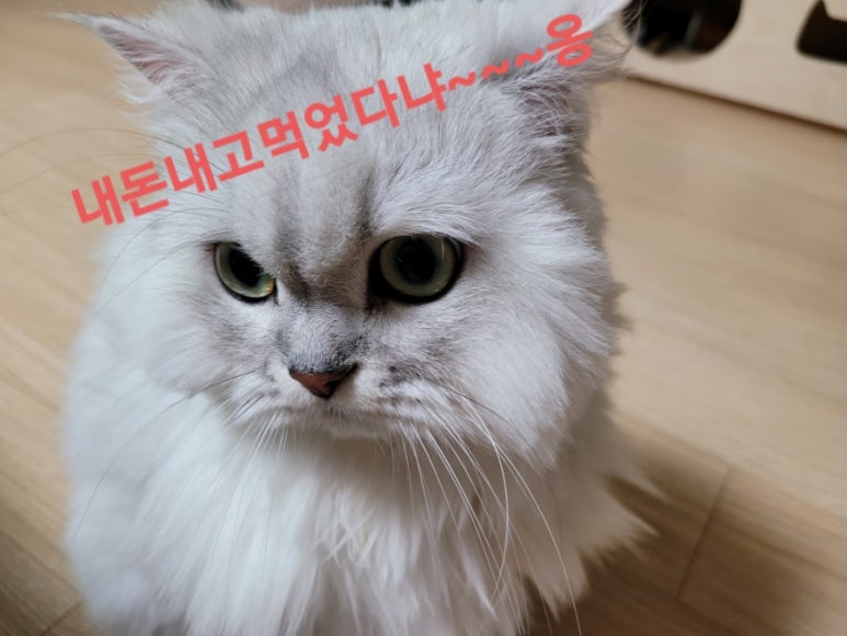 막썰어회센터 이미지