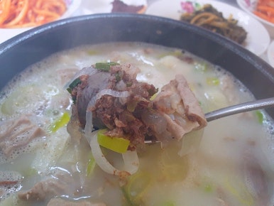 연세우유당진 이미지