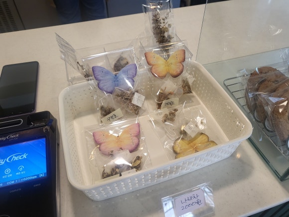 카페반곡길 이미지