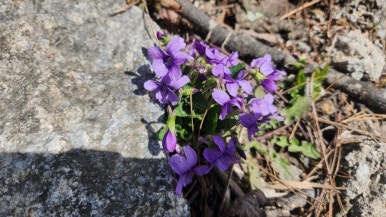 황지식당 이미지