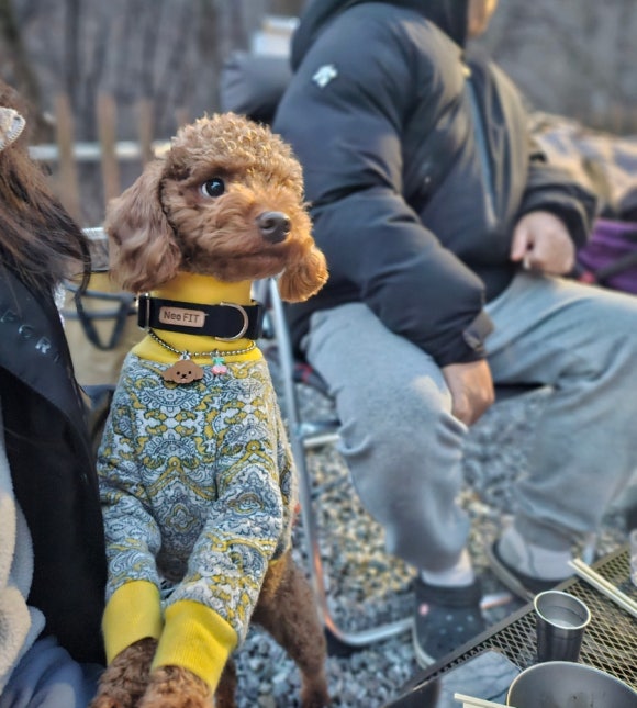 꿈을드림캠핑 이미지