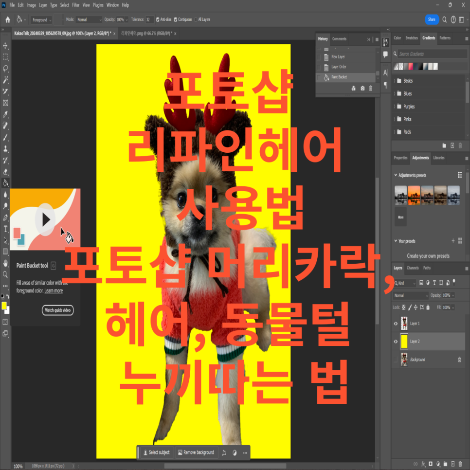 리파인헤어 이미지
