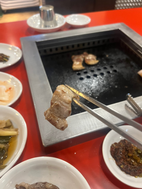 홍지 이미지