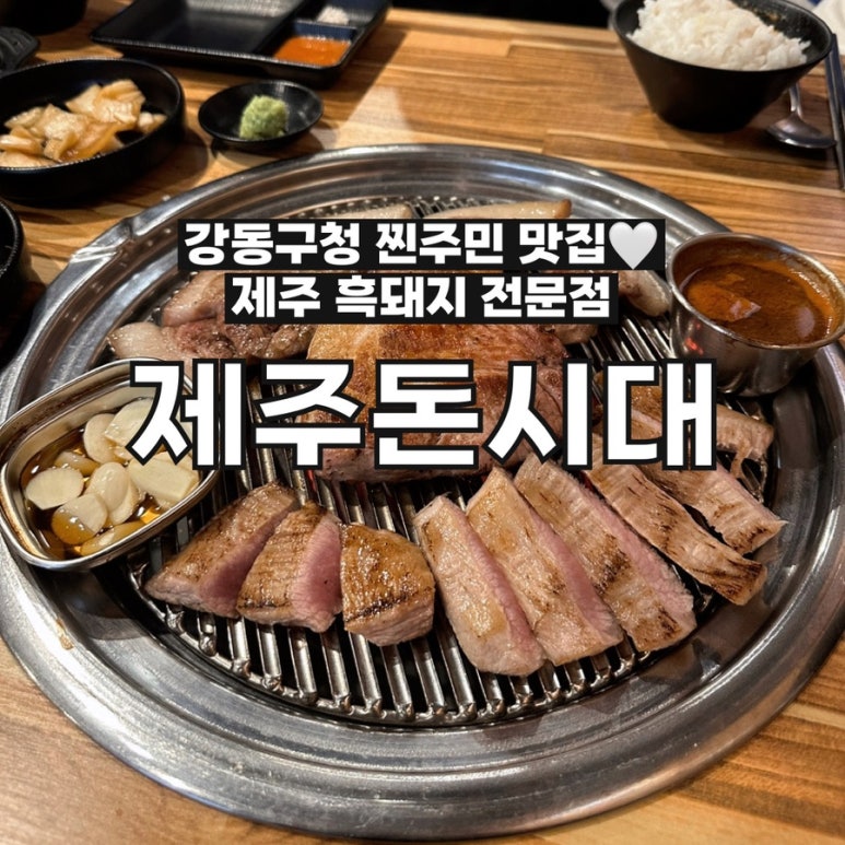 제주돈시대 이미지