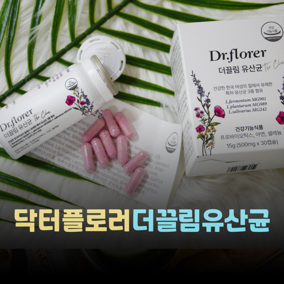 닥터플로러 이미지