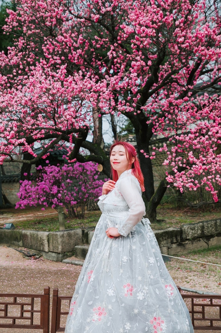 소울버드스냅 이미지