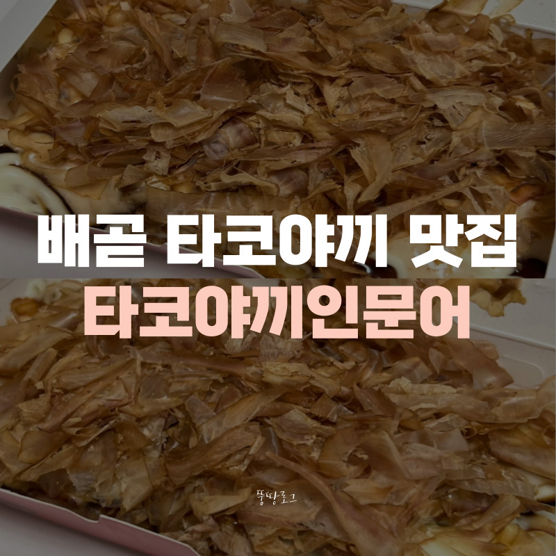타코야끼인문어 이미지