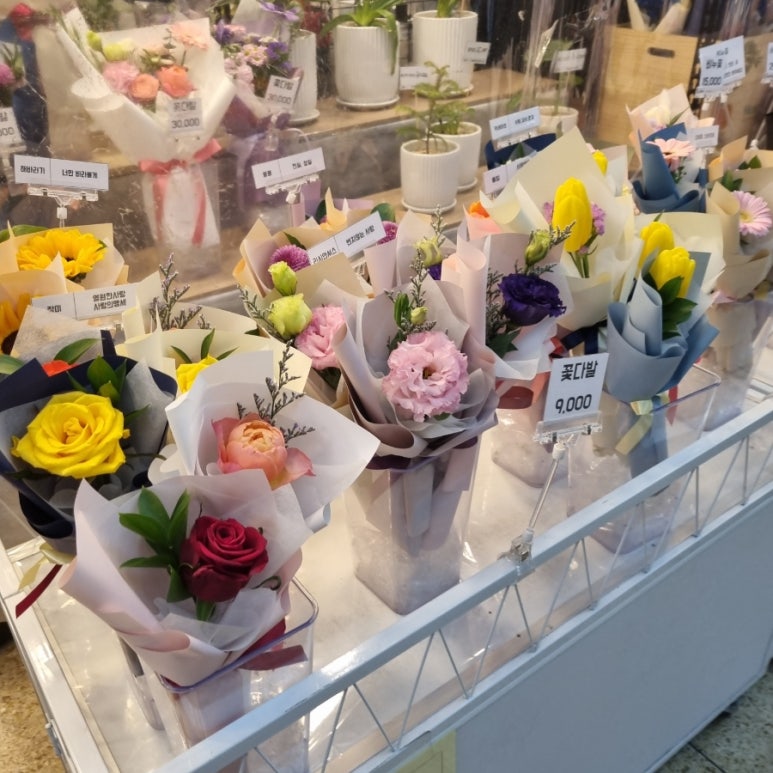 호랭이꽃집 이미지