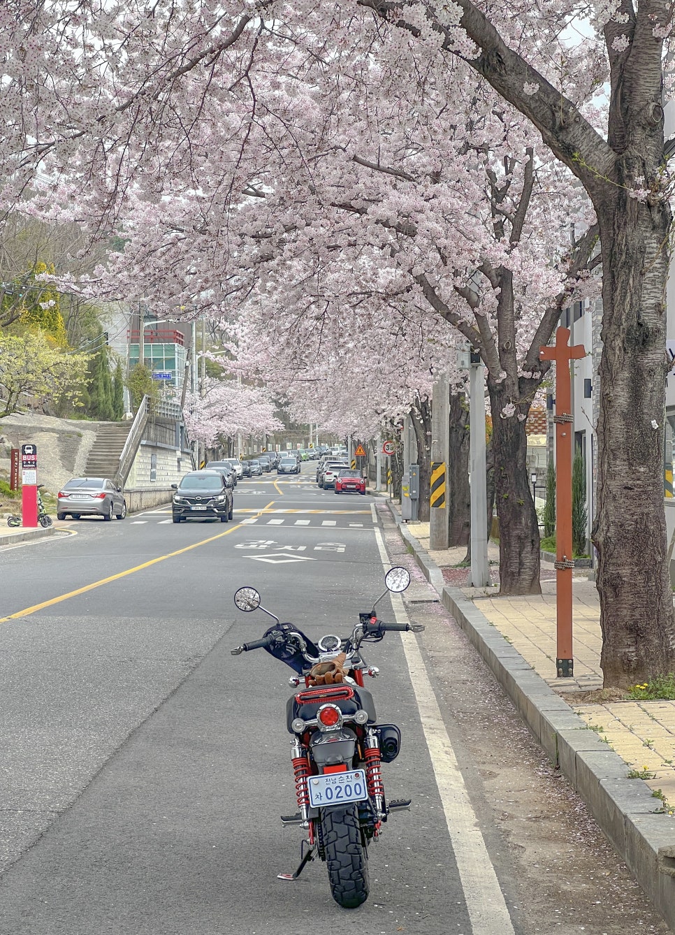 대천정통중화요리 이미지