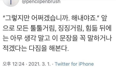 미니마니모 이미지