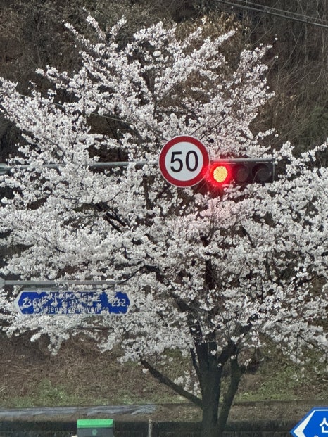 함흥냉면동물원옆 이미지