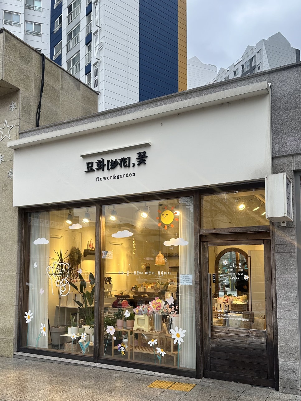 묘화꽃 이미지