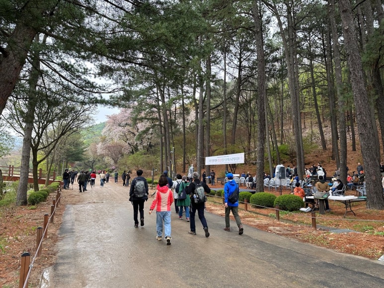 서울대 관악수목원 이미지